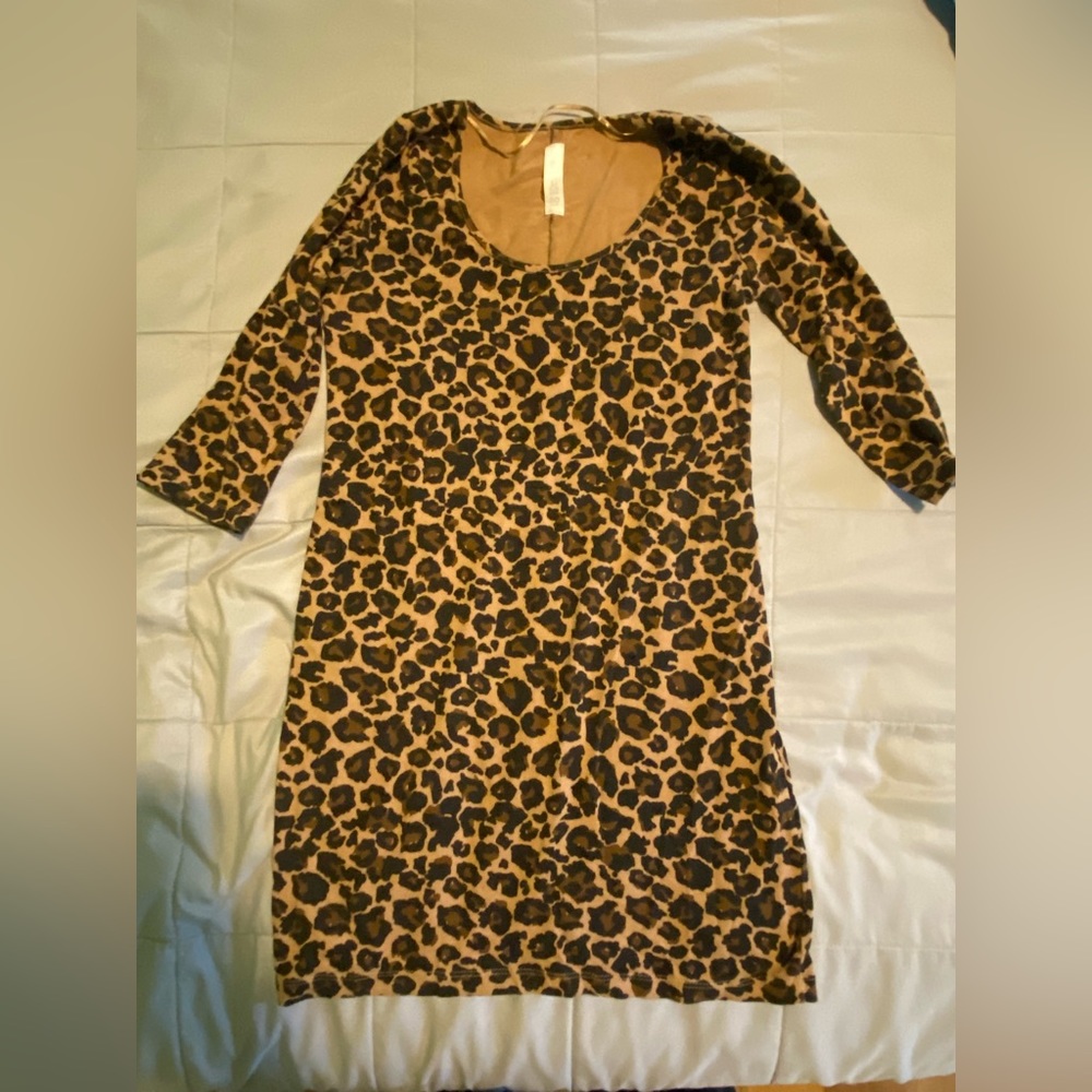 Zara Leopard Print Mini Dress Size L
